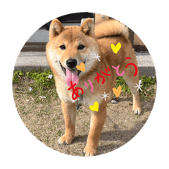 NATSUMI_20230609194317