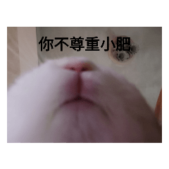 小肥小肥
