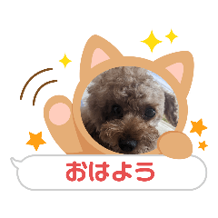 toto kuku_20230610081533