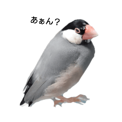 sakura_20230609220146