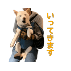 Hana_20230610100231