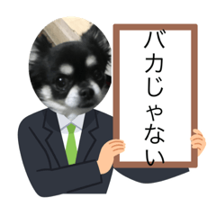 yuto_20230610142846