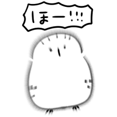simple white owl Daily conversation