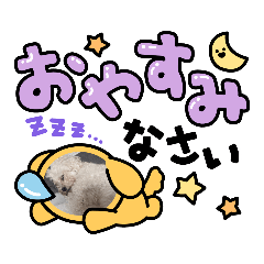 toto kuku_20230609170911