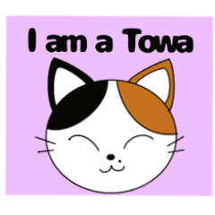 My name is Towa.It is a calico cat.