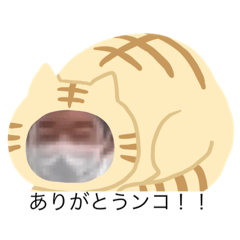 mitsuki_20230610101802