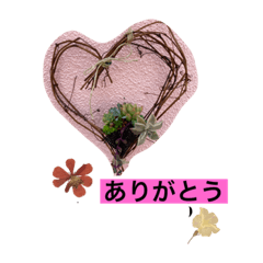 yukorin_20230610121539
