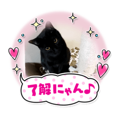 Arisa_20230610171325