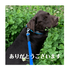 Ricky_20230611082215