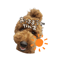 NO_20230611085818