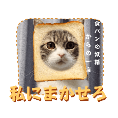 我が家のがんもくん！2
