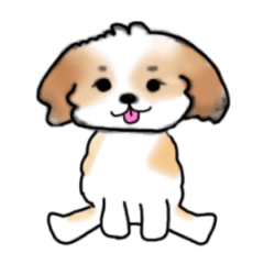 シーズー　日常編