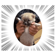 saori_20230610212331