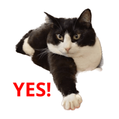 murakamisan_20230610214247