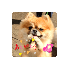 mocalate_20230611084642