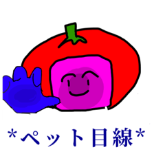 tomato_20230611001503