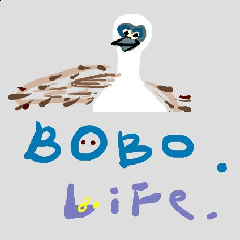 Bobobirddy