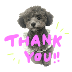 hikari_20230611005548