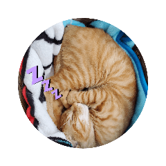 sayuri_20230612093208