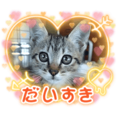YUKA_20230612075513