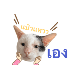 Yingyaiminimal_20230611160508