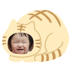 hana_202306120754404