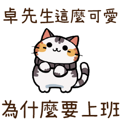 貓貓圖鑑2卓先生