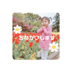 tanaka_20230612012124