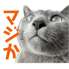 Miyuu_20230611181832