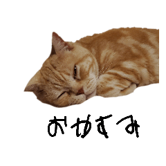 BB_20230611200042
