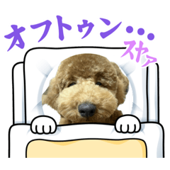 mimiken_20230611183427