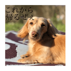 saori_20230611230302