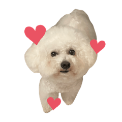 Nozomi_20230611201637