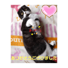 hana_20230612100615