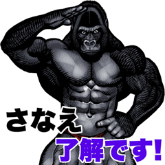 Sanae dedicated macho gorilla sticker