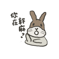 呆呆兔_V2