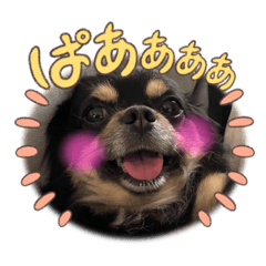 Kana_20230612135205