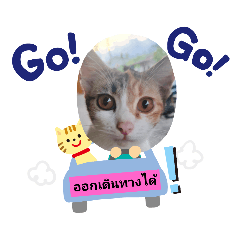Chom1_20230612095047