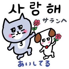 Gray Cat Meow Meow with Korean Language