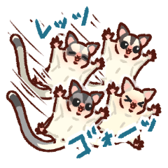 Sugar glider cute sticker 3