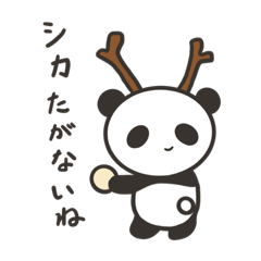 Sasha_20230612101820