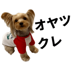 MSK_20230612145600