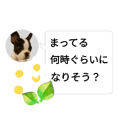 kuu_20230612141248