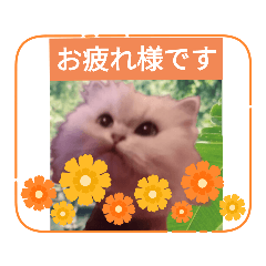 kuu_20230612140726