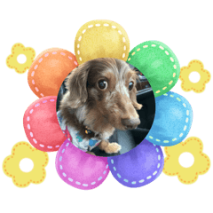 SHIHO_20230613003416