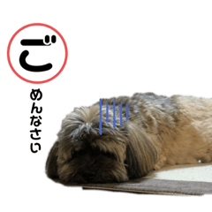 saori_20230612181937