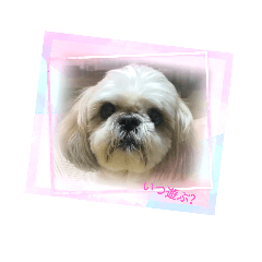 hana_20230612181925