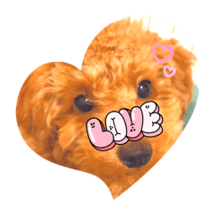 Sunny_20230612153105