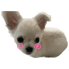 saori_20230612193011