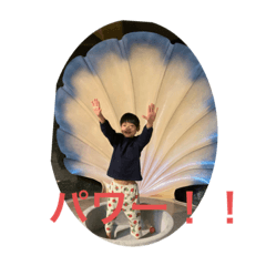 shiho_20230612161851